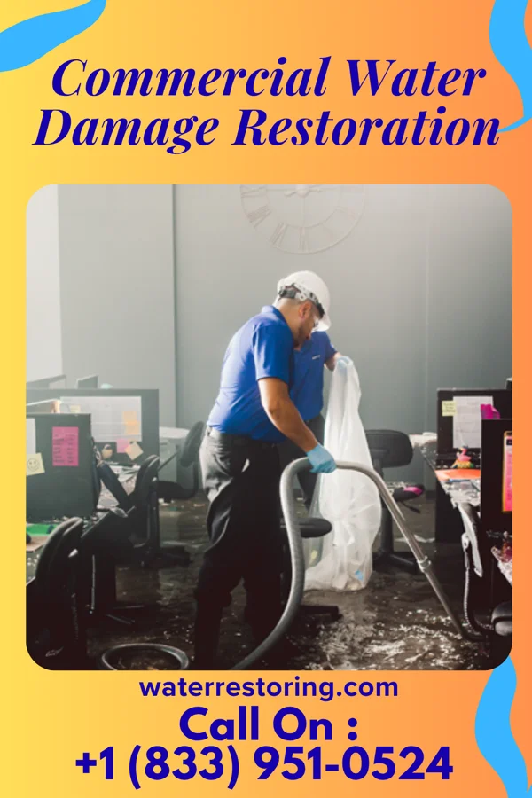 Commercial Water Damage Restoration in La Fayette, IL
